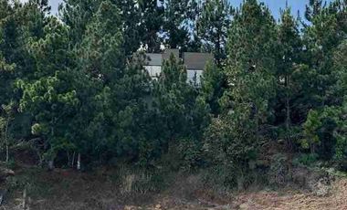 Cabaña en Venta Guatapé con represa