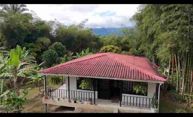 Casa lote 200M2 plano 
🏡 Tu refugio campestre a solo minutos de la ciudad 🌿 ideal para pensionados