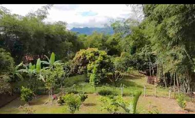 Casa lote 200M2 plano 
🏡 Tu refugio campestre a solo minutos de la ciudad 🌿 ideal para pensionados