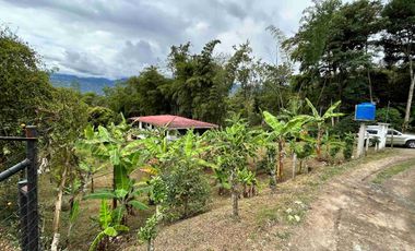 Casa lote 200M2 plano 
🏡 Tu refugio campestre a solo minutos de la ciudad 🌿 ideal para pensionados