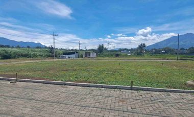 Tanah Strategis area KEK Singosari