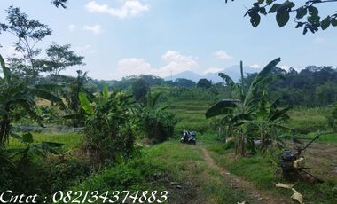 Tanah dijual, di Semarang cocok untuk outbond & wisata alam