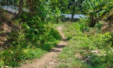 Tanah dijual, di Semarang cocok untuk outbond & wisata alam