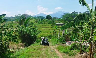 Tanah dijual, di Semarang cocok untuk outbond & wisata alam