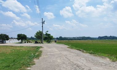 Dijual tanah di Mijen Semarang, View indah, cocok untuk wisata alam