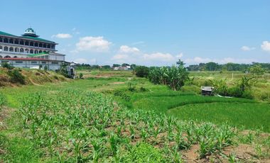 Dijual tanah di Mijen Semarang, View indah, cocok untuk wisata alam