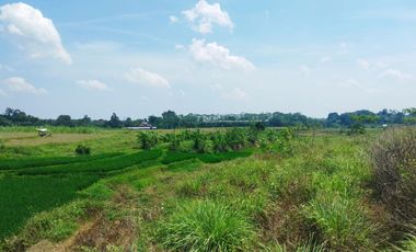 Dijual tanah di Mijen Semarang, View indah, cocok untuk wisata alam