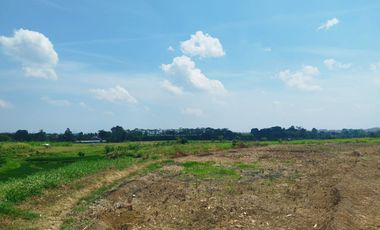 Dijual tanah di Mijen Semarang, View indah, cocok untuk wisata alam