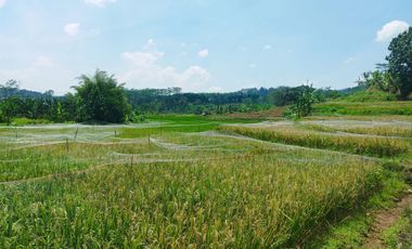 Tanah dijual view indah, sawah & gunung, di Polaman, Mijen