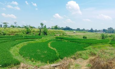 Tanah dijual view indah, sawah & gunung, di Polaman, Mijen