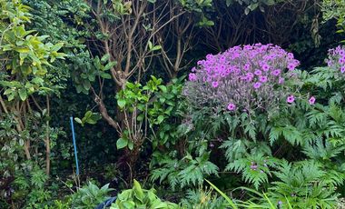 acogedora y soleada casa