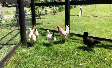 Complejo Turistico, Parcela urbana en Puerto Varas