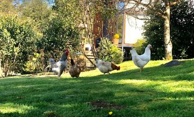 Complejo Turistico, Parcela urbana en Puerto Varas