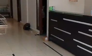 Turun Harga Hotel Malioboro Yogyakarta