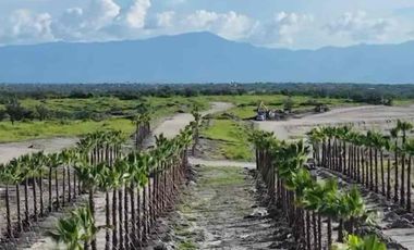 VENTA TERRENO XOCHITEPEC