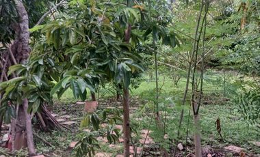 VENPERMUTO APARTAMENTO