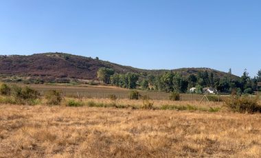 Se vende parcela 5.000 m2 ,sector Mariposas San Clemente