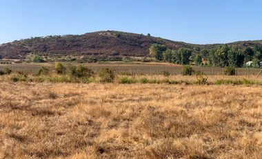 Se vende parcela 5.000 m2 ,sector Mariposas San Clemente