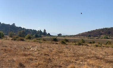 Se vende parcela 5.000 m2 ,sector Mariposas San Clemente