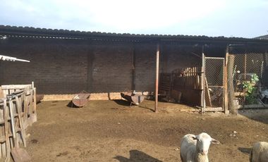TERRENO PLANO DE 204 M2 EN COATLINCHAN, TEXCOCO, EDOMEX.