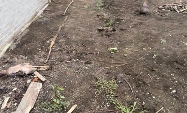 TERRENO PLANO DE 204 M2 EN COATLINCHAN, TEXCOCO, EDOMEX.