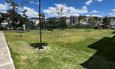 Departamento en renta en Zona Esmeralda