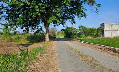 Tanah pekarangan bisa di bangun 8 rumah lokasi benjeng gresik