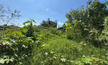 Terreno en La Moraleda Don Bosco Atlixco, Puebla, México