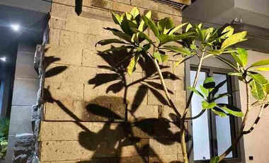 Modern Tropical Home for Sale in Sunvalley Antipolo with Pool and Mountain View