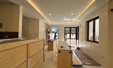 FOR SALE MODERN BRAND NEW HOUSE IN BF HOMES PARANAQUE