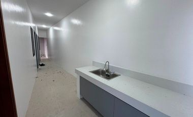 JAPANDI MODERN HOUSE FOR SALE IN BF HOMES