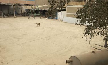 Vendo terreno Industrial en Bocanegra-Callao