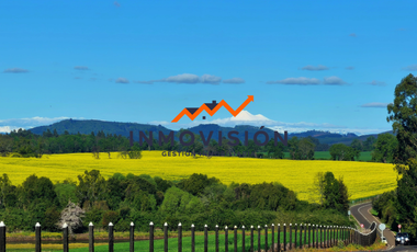 Inmovision Gestión Inmobiliaria Vende!!!