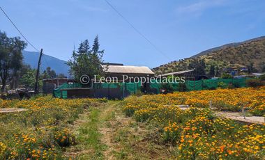 Leon Propiedades arrienda cabaña en sector Cuyuncacvi, Curacaví.