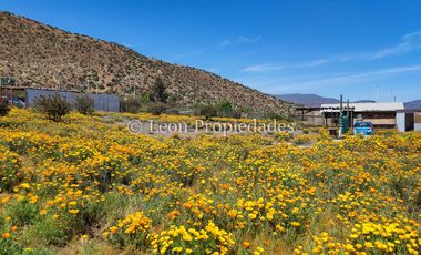 Leon Propiedades arrienda cabaña en sector Cuyuncacvi, Curacaví.