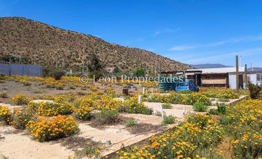 Leon Propiedades arrienda cabaña en sector Cuyuncacvi, Curacaví.