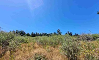Terreno en Cobquecura Altos de Cobquecura