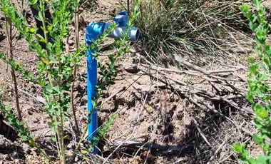 Terreno en Cobquecura Altos de Cobquecura