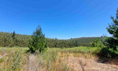 Terreno en Cobquecura Altos de Cobquecura