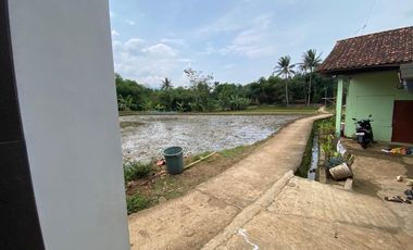 Dijual Murah Rumah Mewah Minimalis Dekat Sawah di Plered Purwakarta