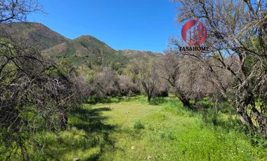 Venta de hermosa parcela en Colliguay de 14.500 M2