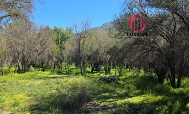 Venta de hermosa parcela en Colliguay de 14.500 M2