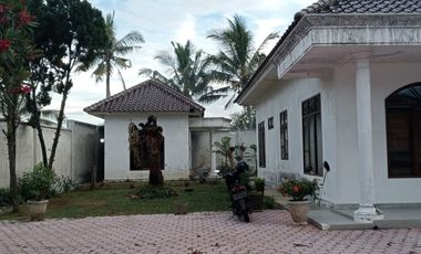 Dijual Rumah Gaya Klasik Eropa – Glagah, Banyuwangi