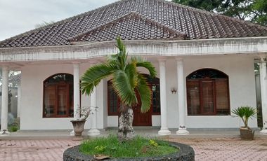 Dijual Rumah Gaya Klasik Eropa – Glagah, Banyuwangi