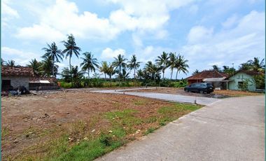 Dekat Bandara YIA Jogja, 1 Jutaan Tanah Murah Kulonprogo