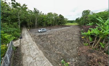 Hanya 183 Juta Jual Tanah Jogja Murah, Dekat Exit Tol Sentolo