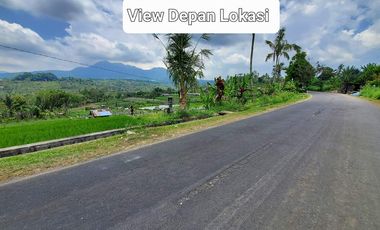 Tanah Murah View Gunung Di Jalan Utama Catur Belok Sidan Plaga Petang Badung