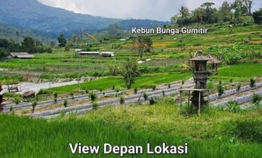 Tanah Murah View Gunung Di Jalan Utama Catur Belok Sidan Plaga Petang Badung