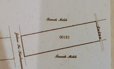 Tanah Murah View Gunung Di Jalan Utama Catur Belok Sidan Plaga Petang Badung