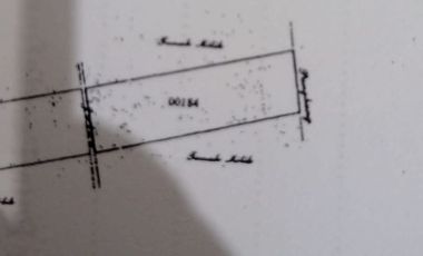 Tanah Murah View Gunung Di Jalan Utama Catur Belok Sidan Plaga Petang Badung